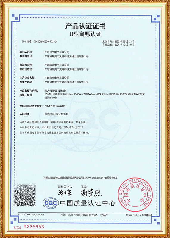 中国II型自愿认证证书