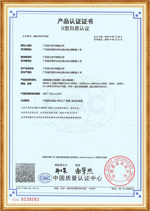 中国II型自愿认证证书